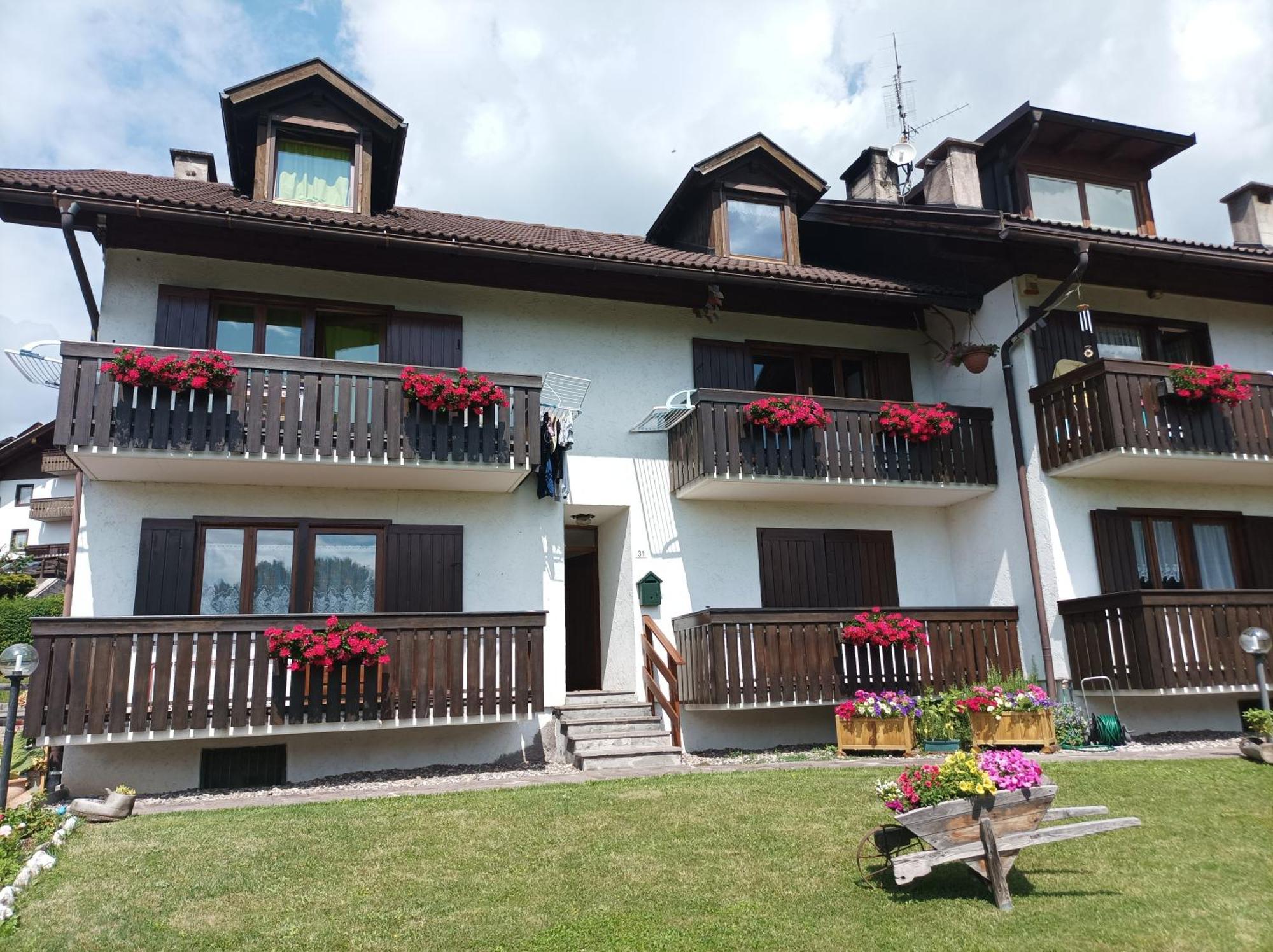 Апартаменти Casa Erica - Carano Екстер'єр фото